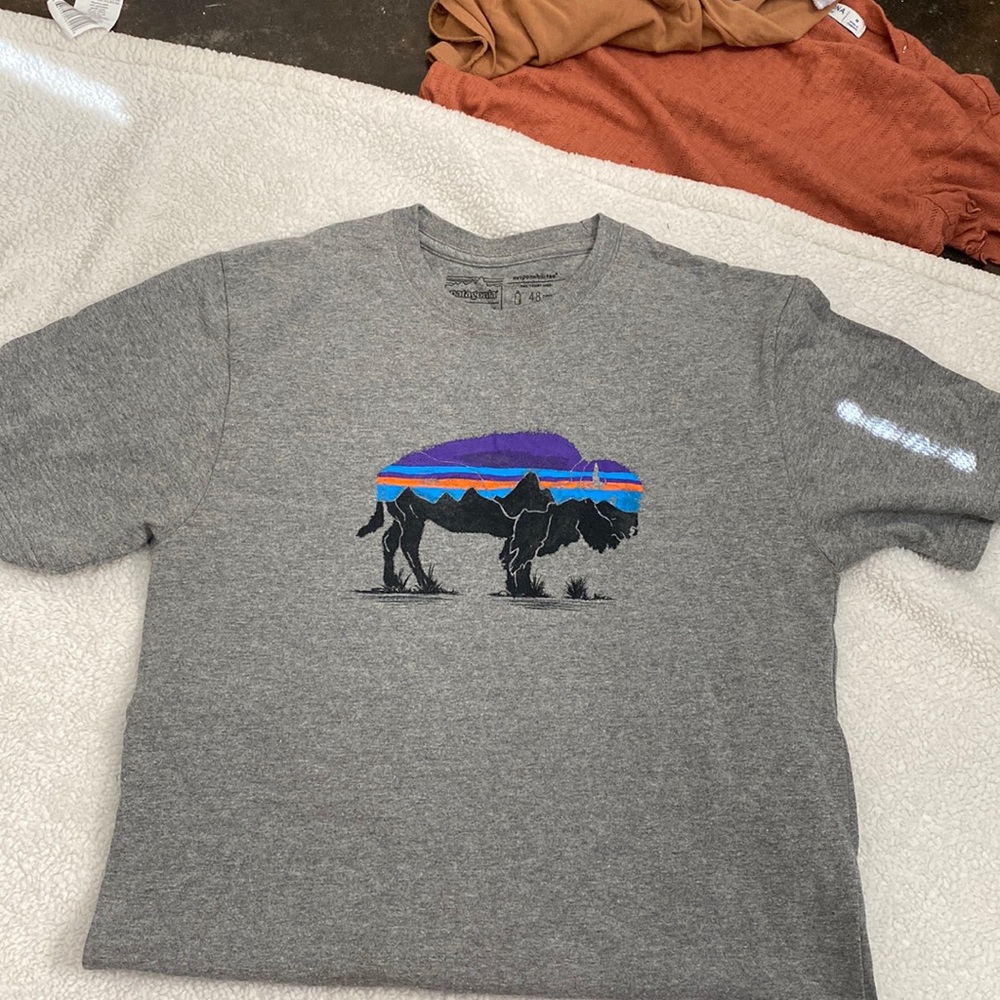 Men’s Patagonia shirt